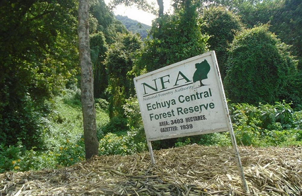 NFA and Echuya Community Sign MOU
