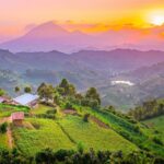 Travel Uganda