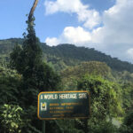 Bwindi Impenetrable National Park
