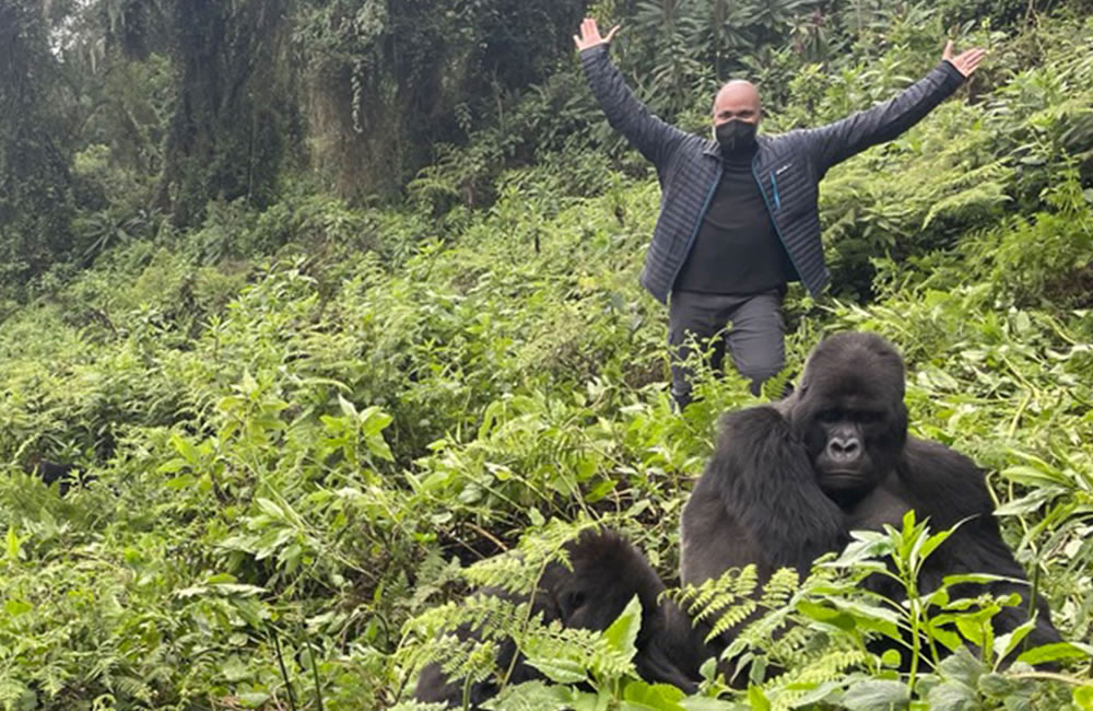 Rwanda Gorilla Trek